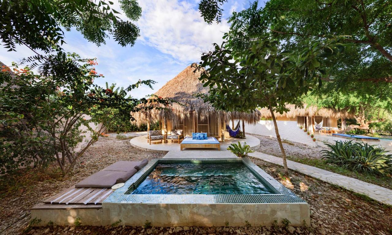 Blue Apple Beach Corregimiento Bocachica Room photo